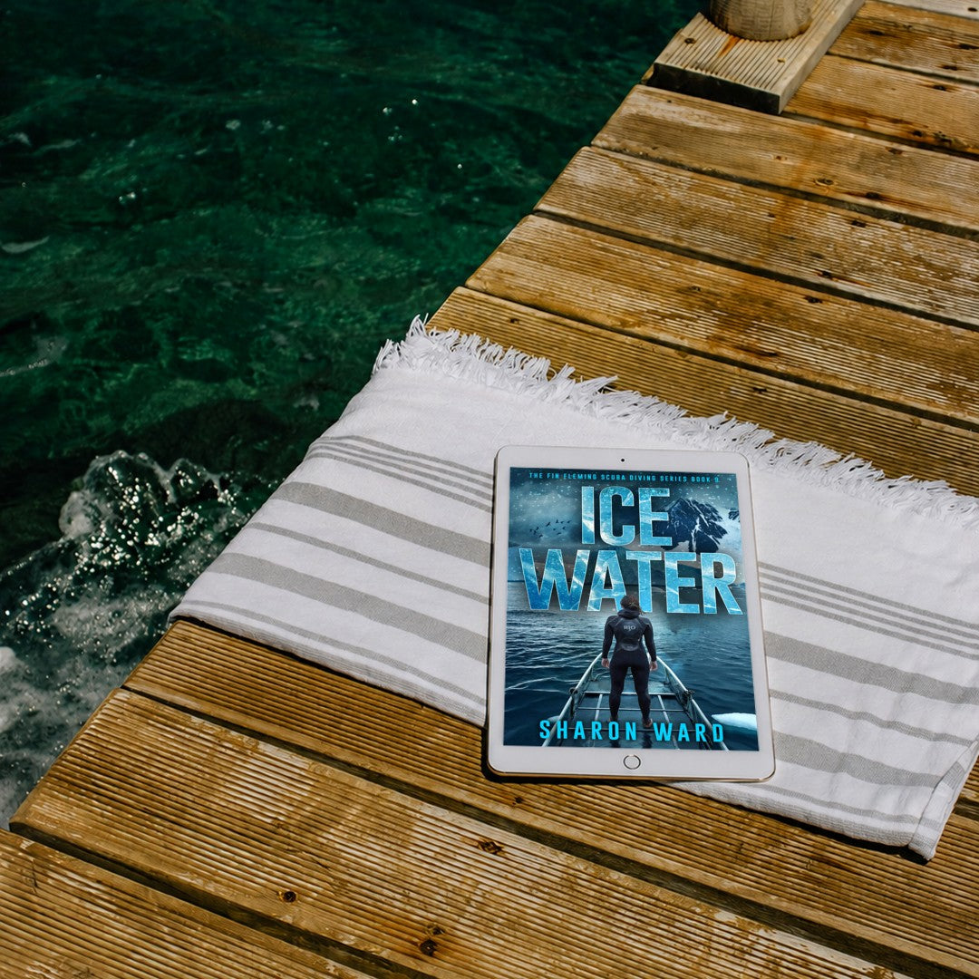 Ice Water ebook