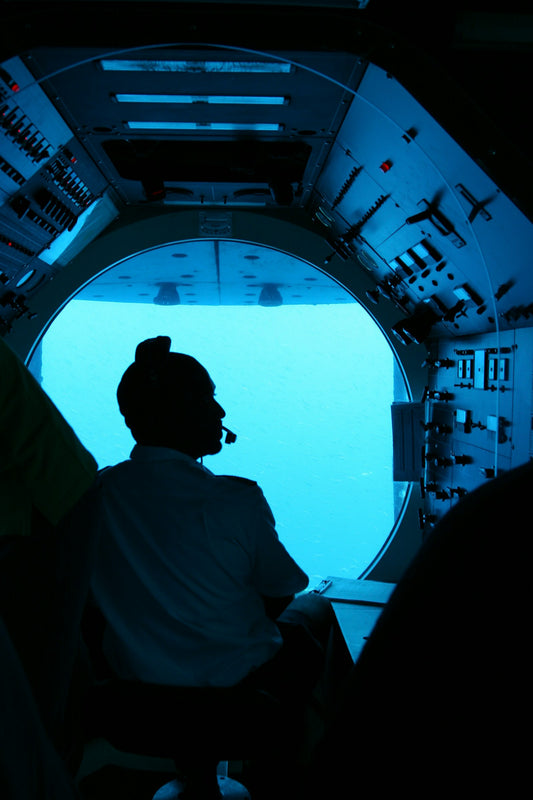 A person inside a submarine looking out a large window at the sea