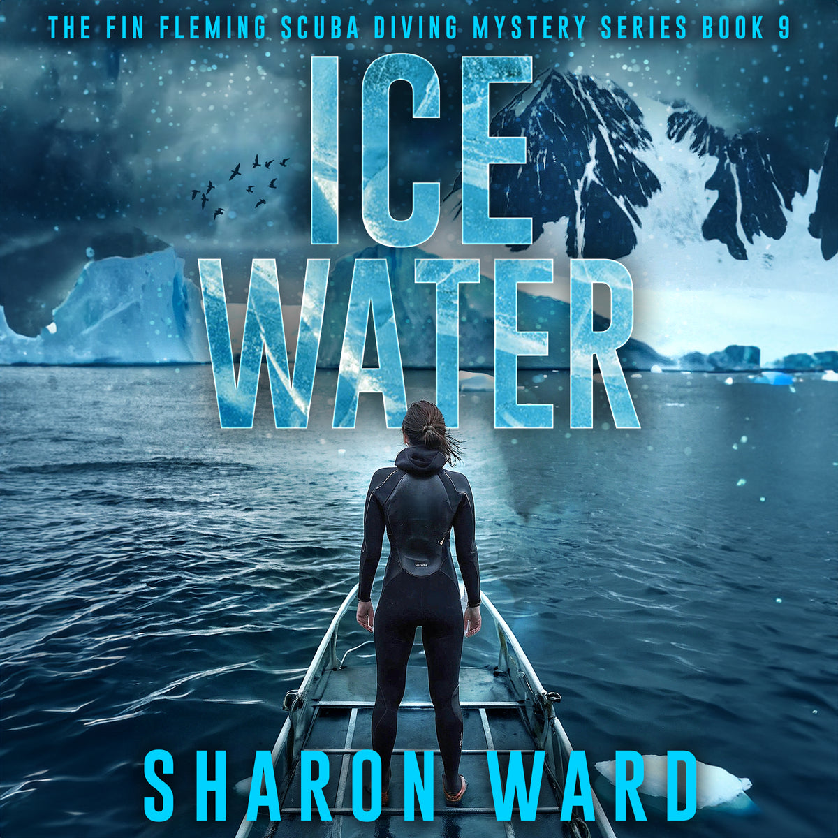 Ice Water audiobook