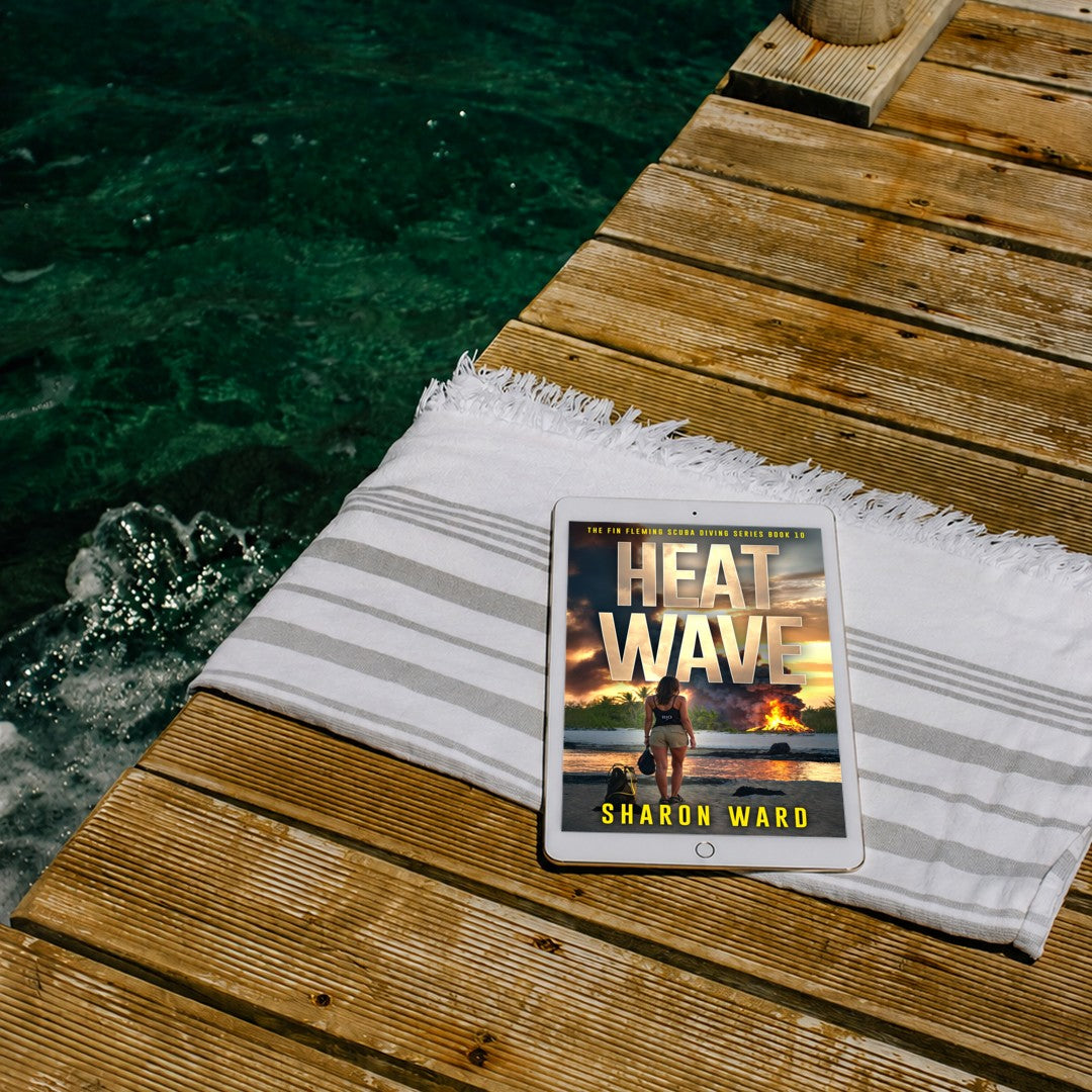 Heat Wave ebook